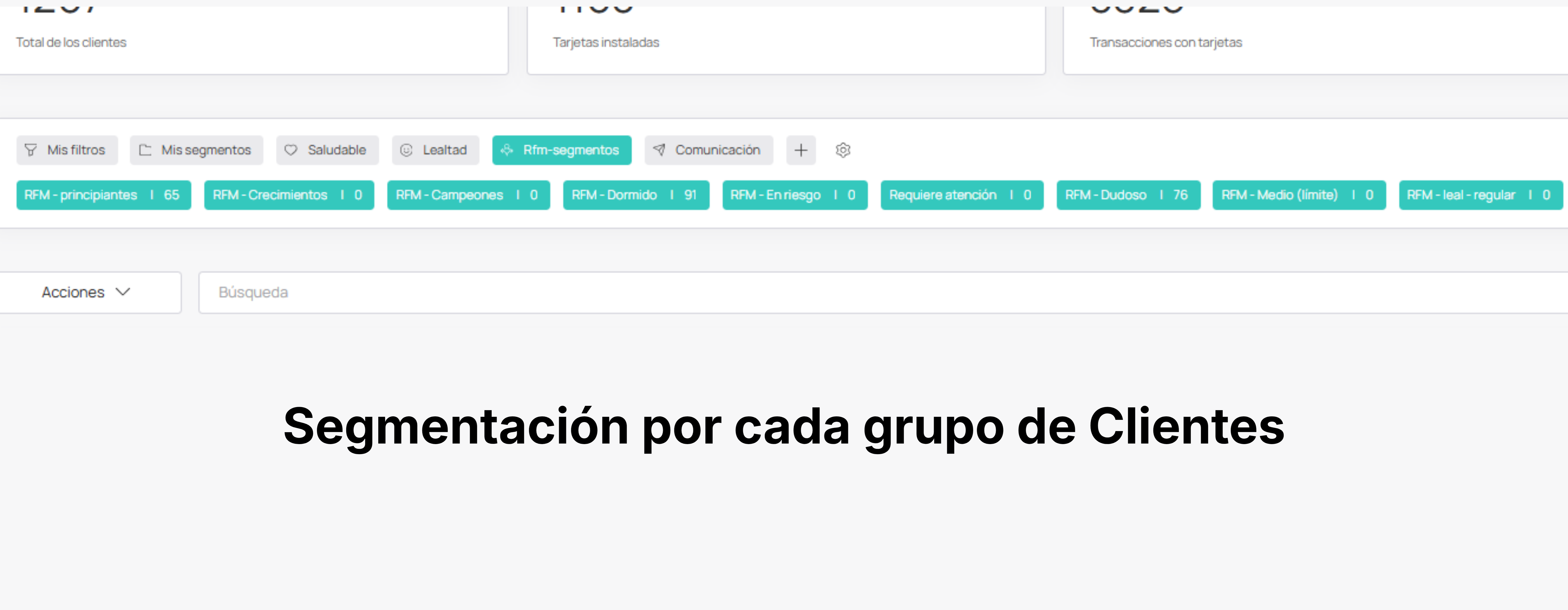 Visualización de segmentos RFM