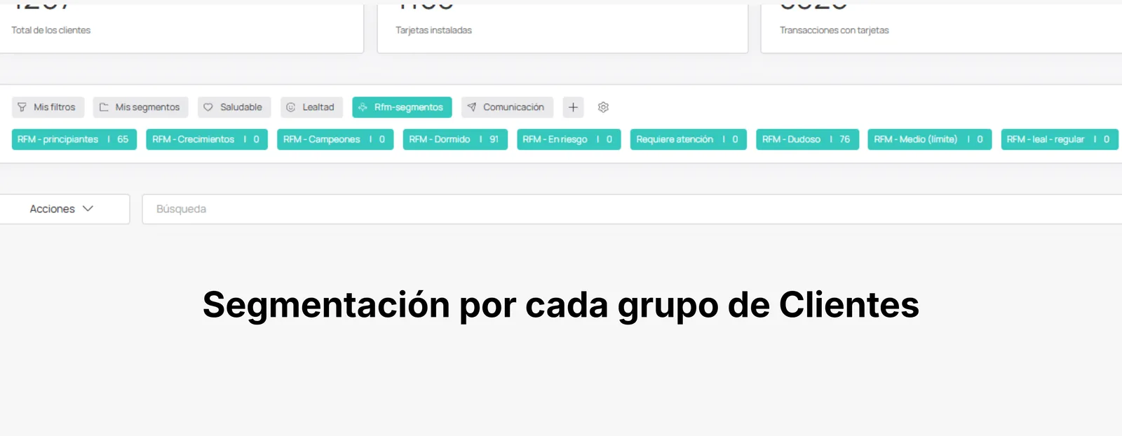 Visualización de segmentos RFM